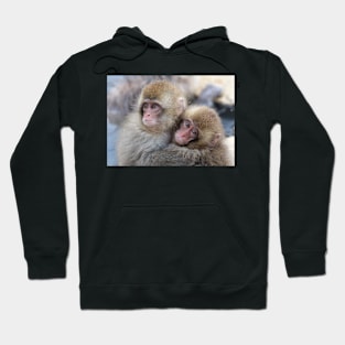 Snow monkey brothers? Hoodie